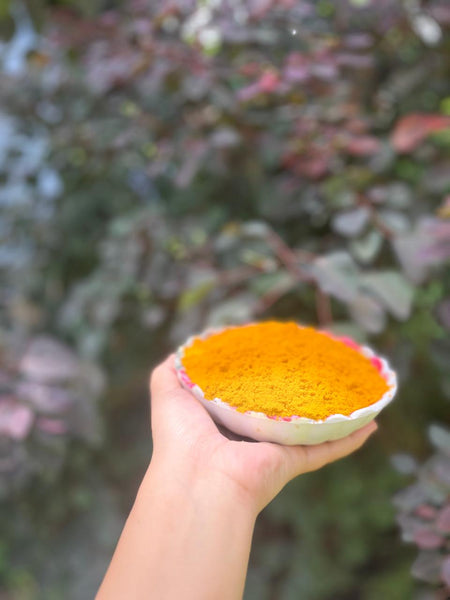 Organic Haldi (Turmeric)